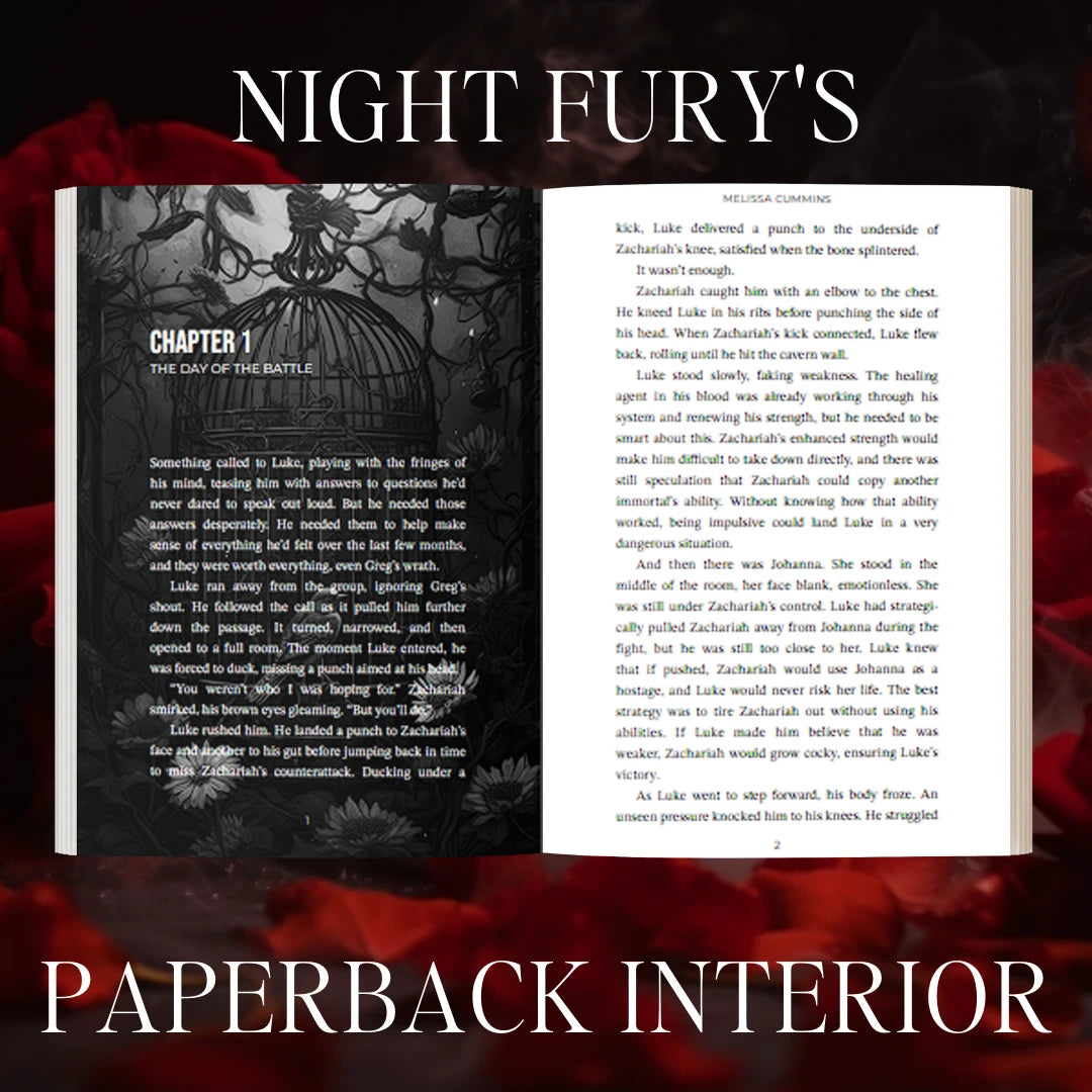 Night Fury Paperback - Dark Vampire Romance