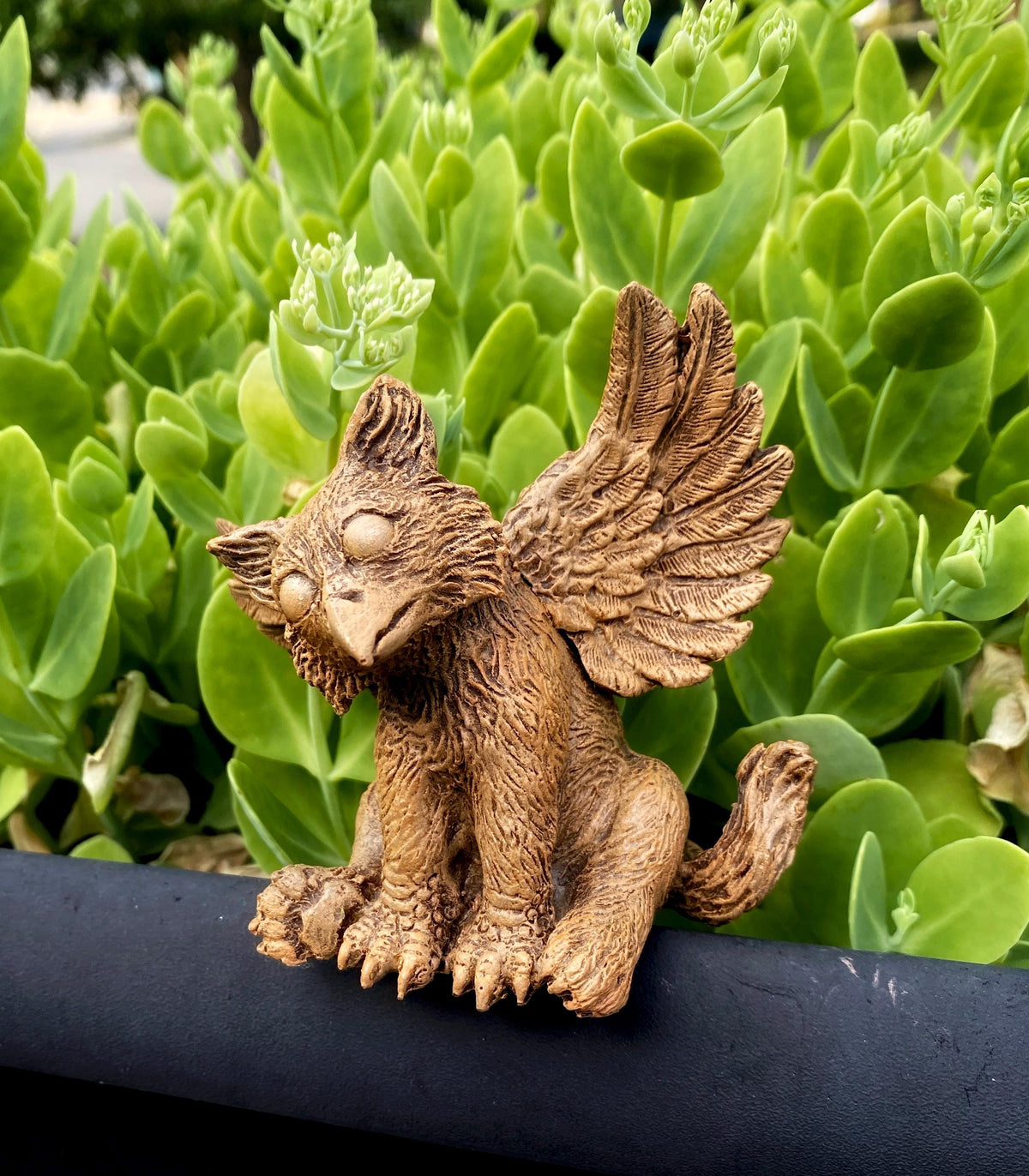 Baby Griffin Mythical Creature Figurine