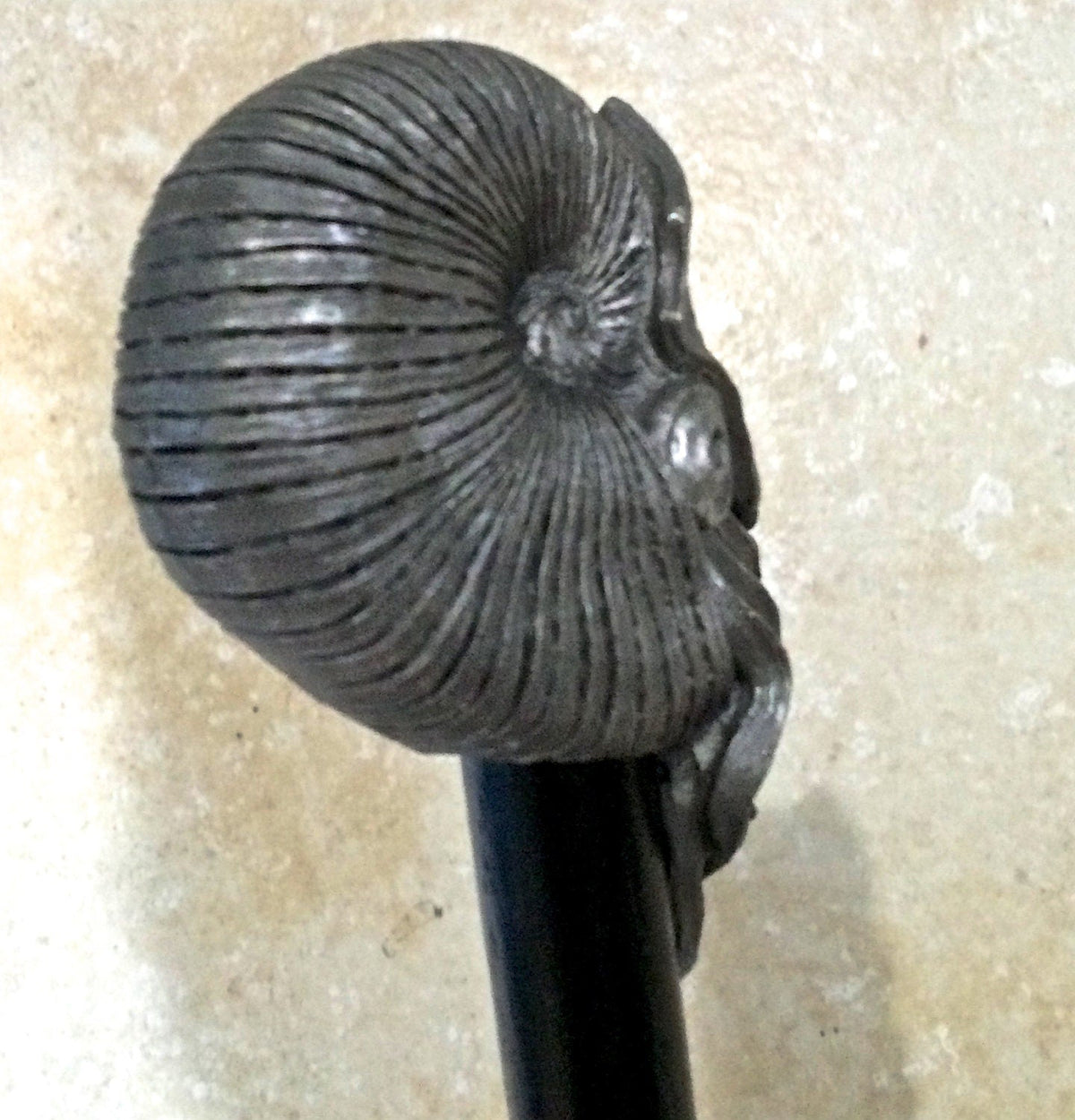 Nautilus Ammonite Cane, Hand Sculpted Walking Stick