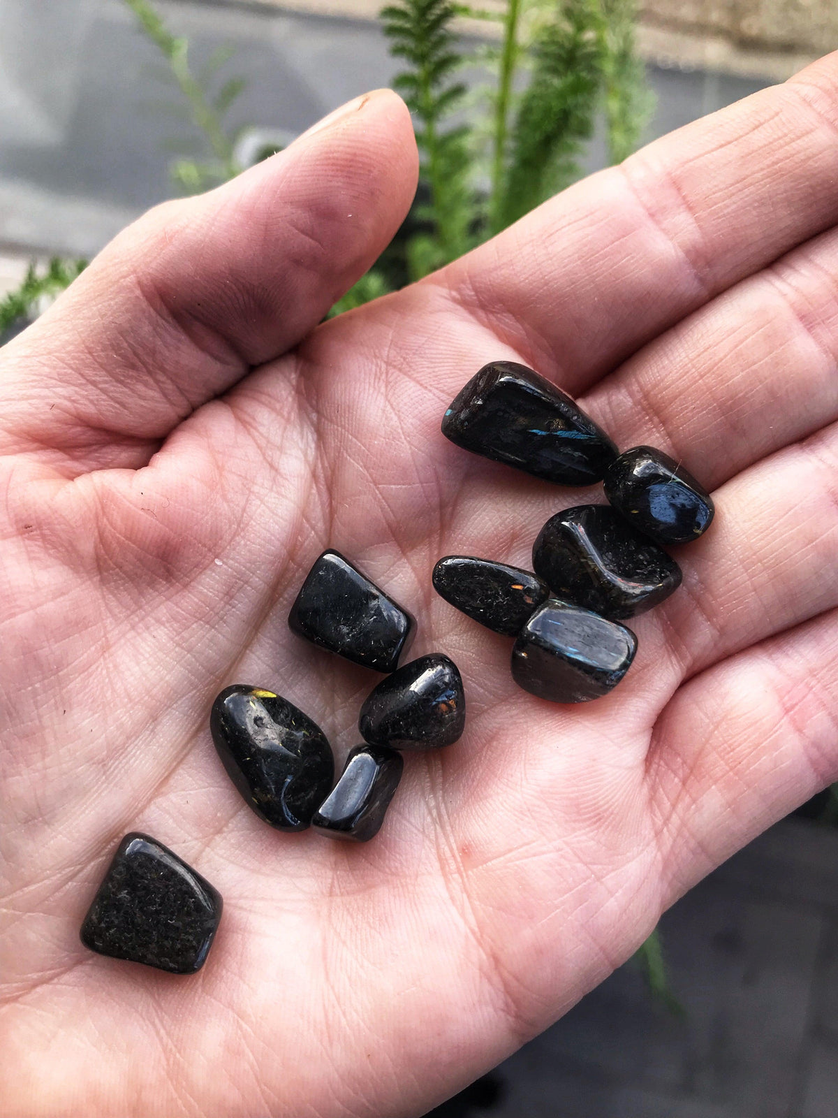 Nuummite Tumbled & Pocket Stones