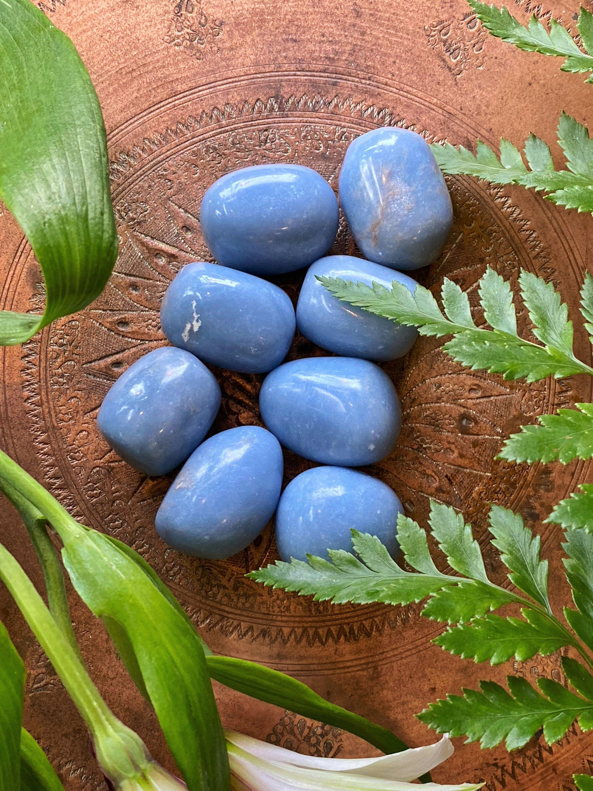 Angelite - Tumbled