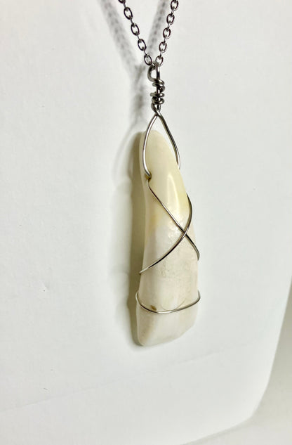 Water Buffalo Tooth Jewelry: Wire Wrapped Necklaces & Earrings