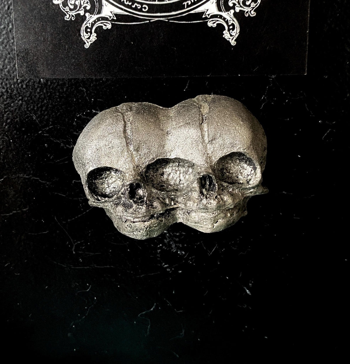 Conjoined Twins Skull  Magnet, Hand Painted Resin Sculpture