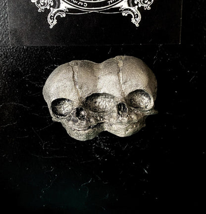 Conjoined Twins Skull  Magnet, Hand Painted Resin Sculpture
