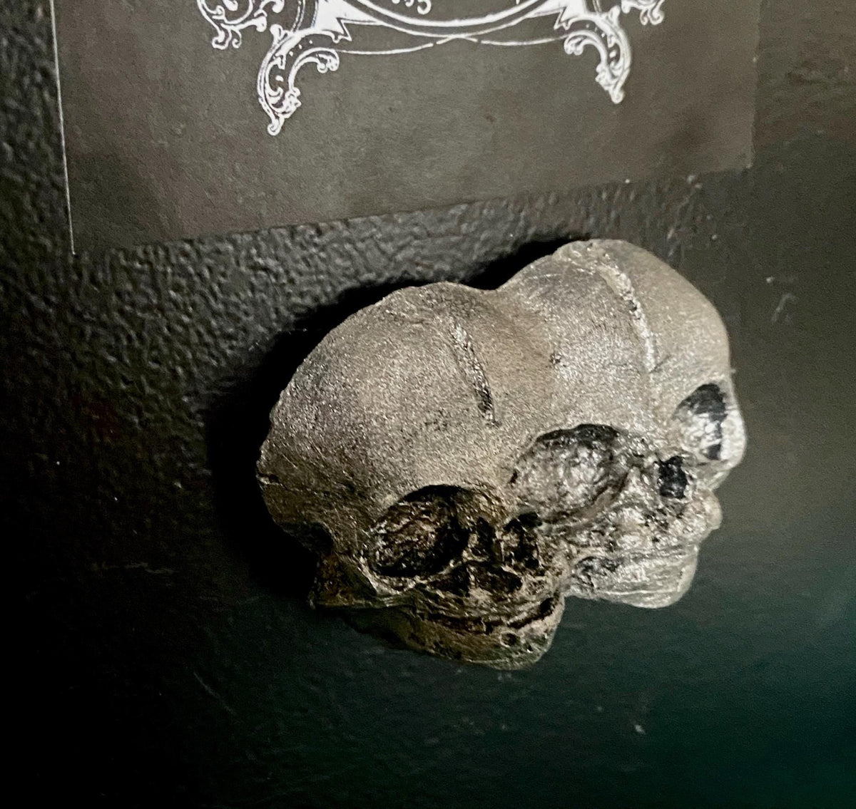 Conjoined Twins Skull  Magnet, Hand Painted Resin Sculpture