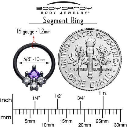 16G 3/8 Purple CZ Gem Black Rhombus Riot Hinged Segment Ring