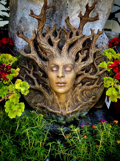 Dryad Bust Wall Plaque