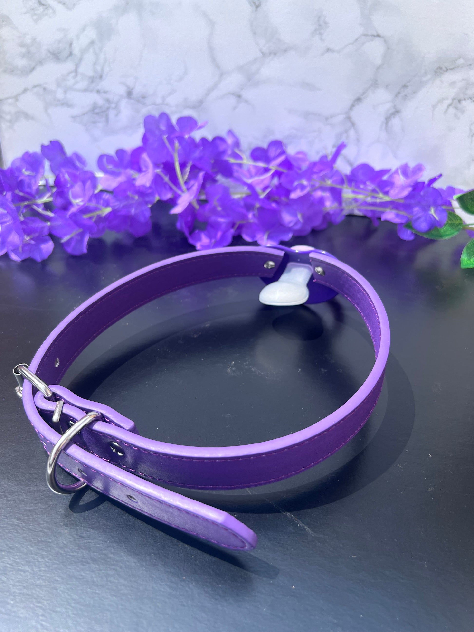 Good Girl Adult Purple Pacifier Gag
