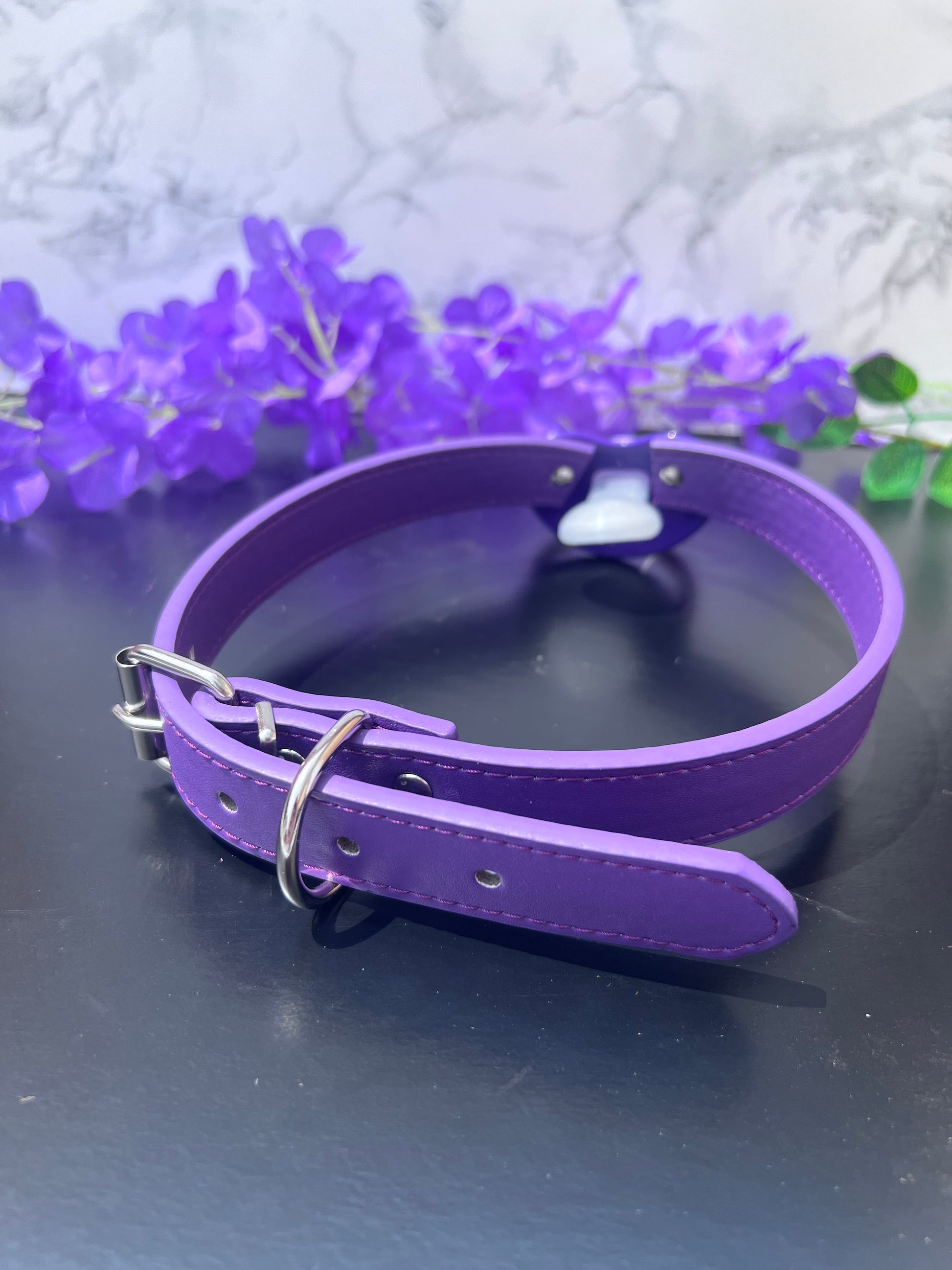 Good Girl Adult Purple Pacifier Gag