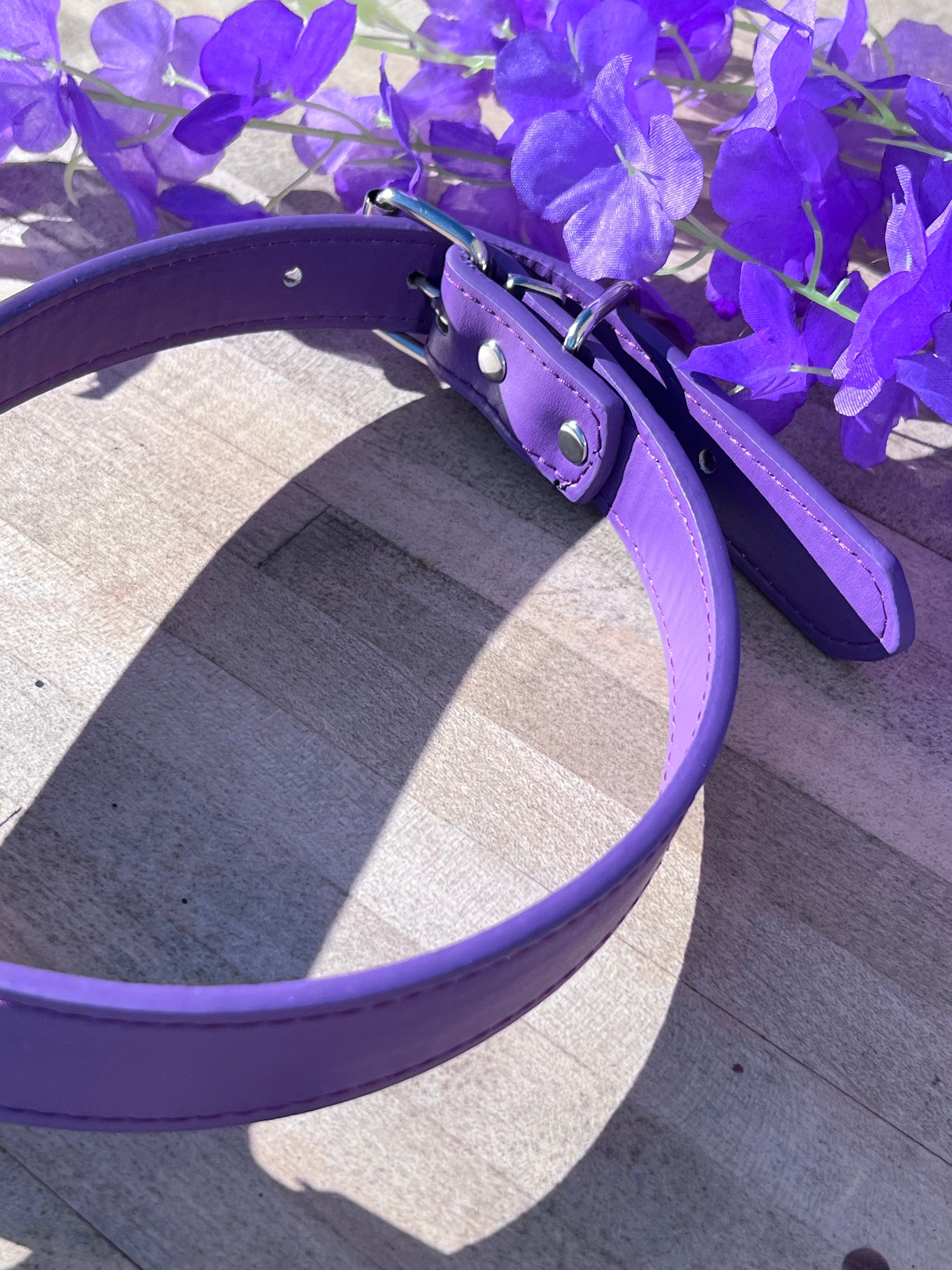 Cute Purple Bat Adult Pacifier Gag