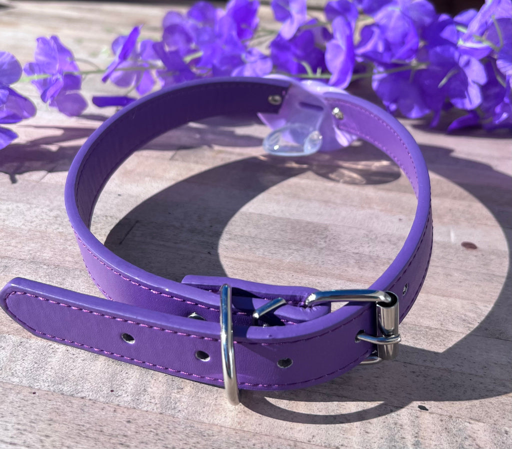 Cute Purple Bat Adult Pacifier Gag