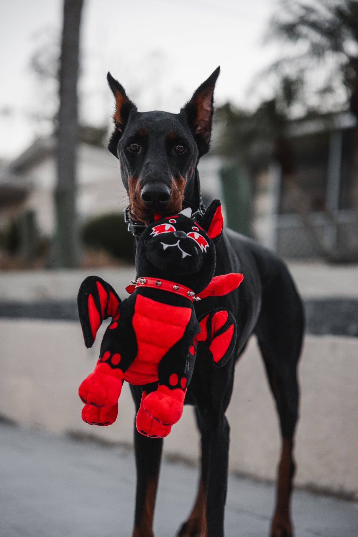 Magma Hellhound Plushie - Shadow Threadz Crypt