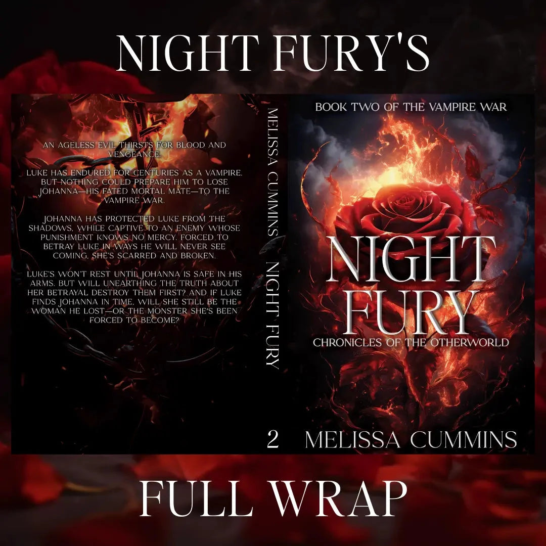 Night Fury Paperback - Dark Vampire Romance