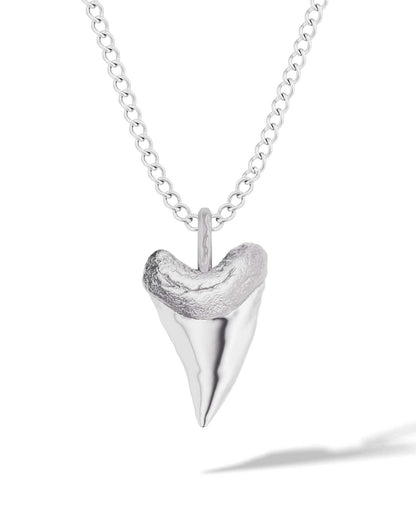 Shark Tooth Pendant Necklace