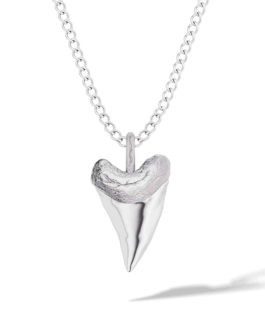 Shark Tooth Pendant Necklace
