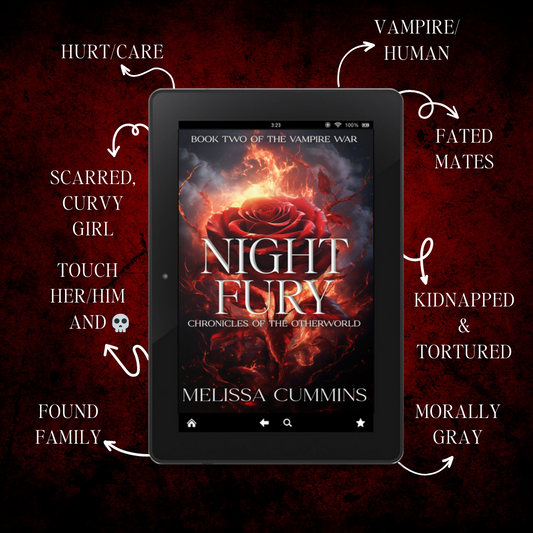 Night Fury Paperback - Dark Vampire Romance