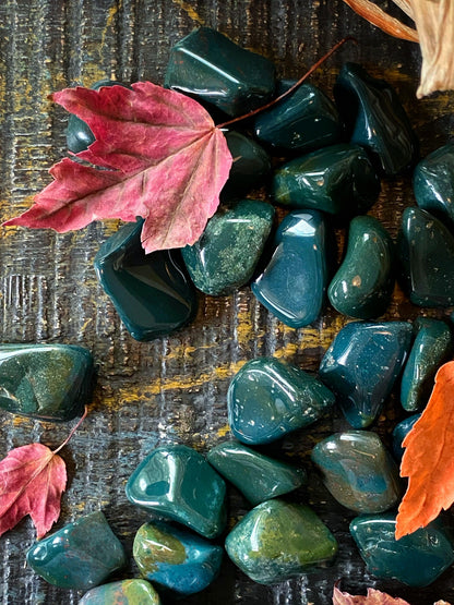 Tumbled Bloodstone