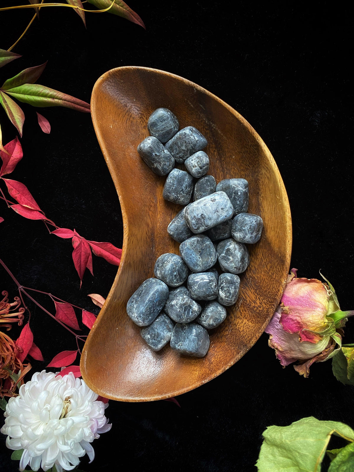 Larkavite Black Moonstone - Tumbled