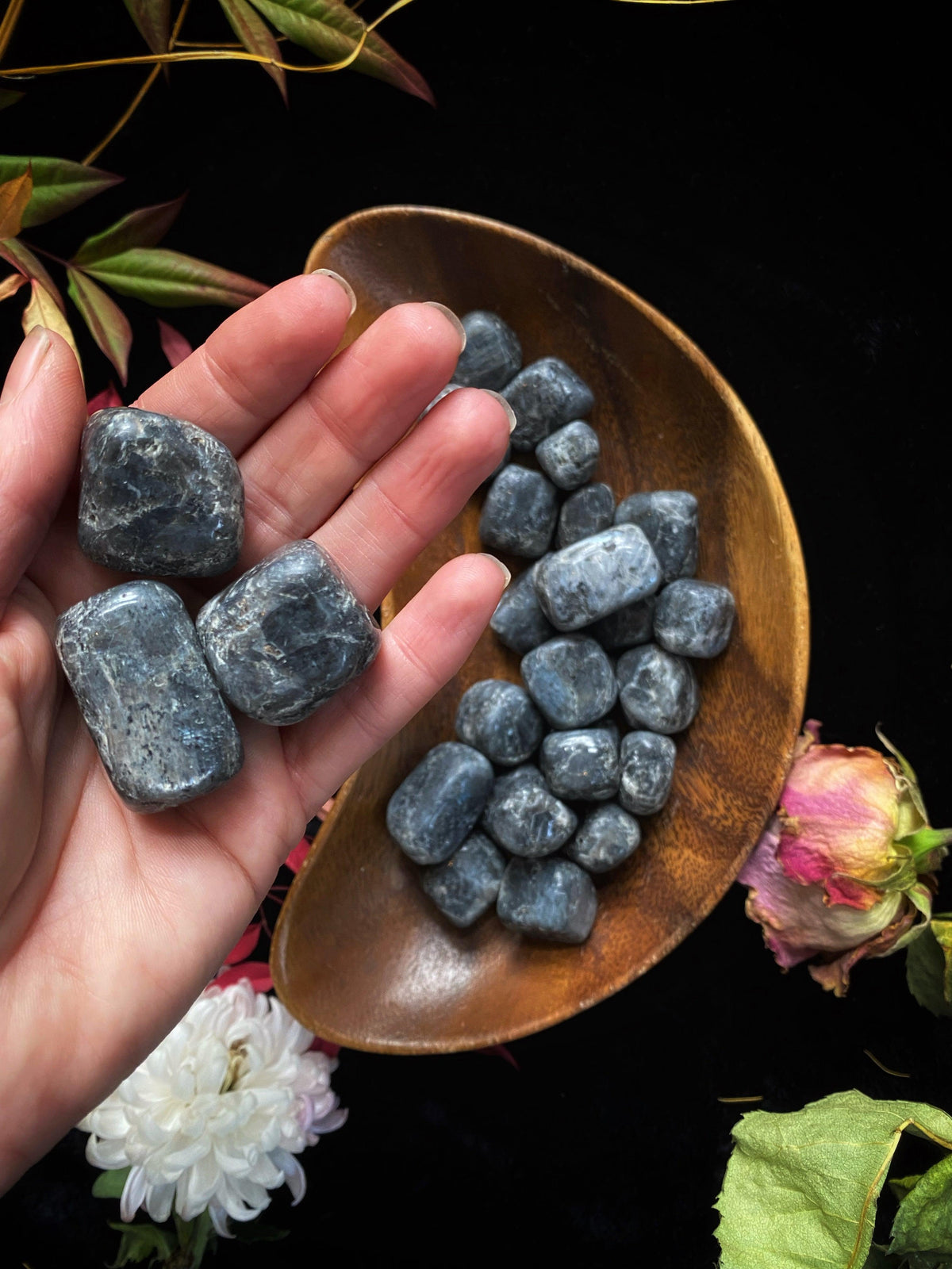 Larkavite Black Moonstone - Tumbled