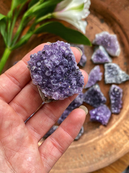 Amethyst Quartz Clusters