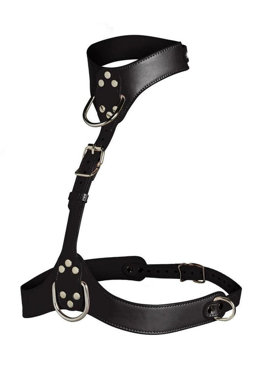 Vixen Female Chest Harness (Colors) - Shadow Threadz Crypt