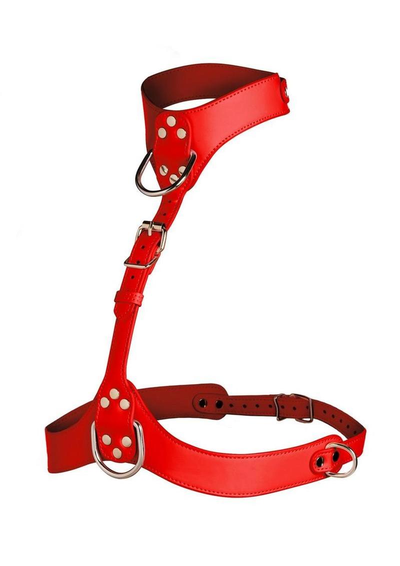 Vixen Female Chest Harness (Colors) - Shadow Threadz Crypt