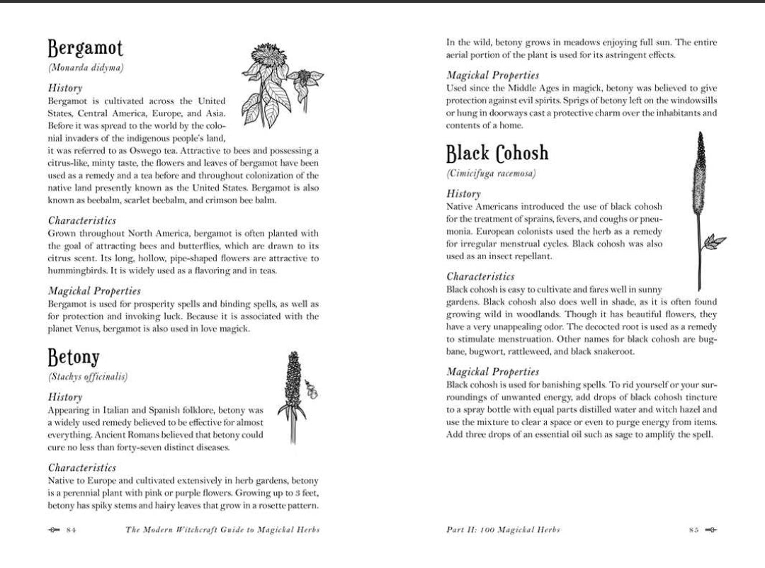 Modern Witchcraft Guide To Magickal Herbs