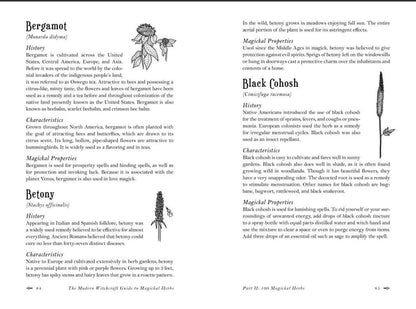Modern Witchcraft Guide To Magickal Herbs
