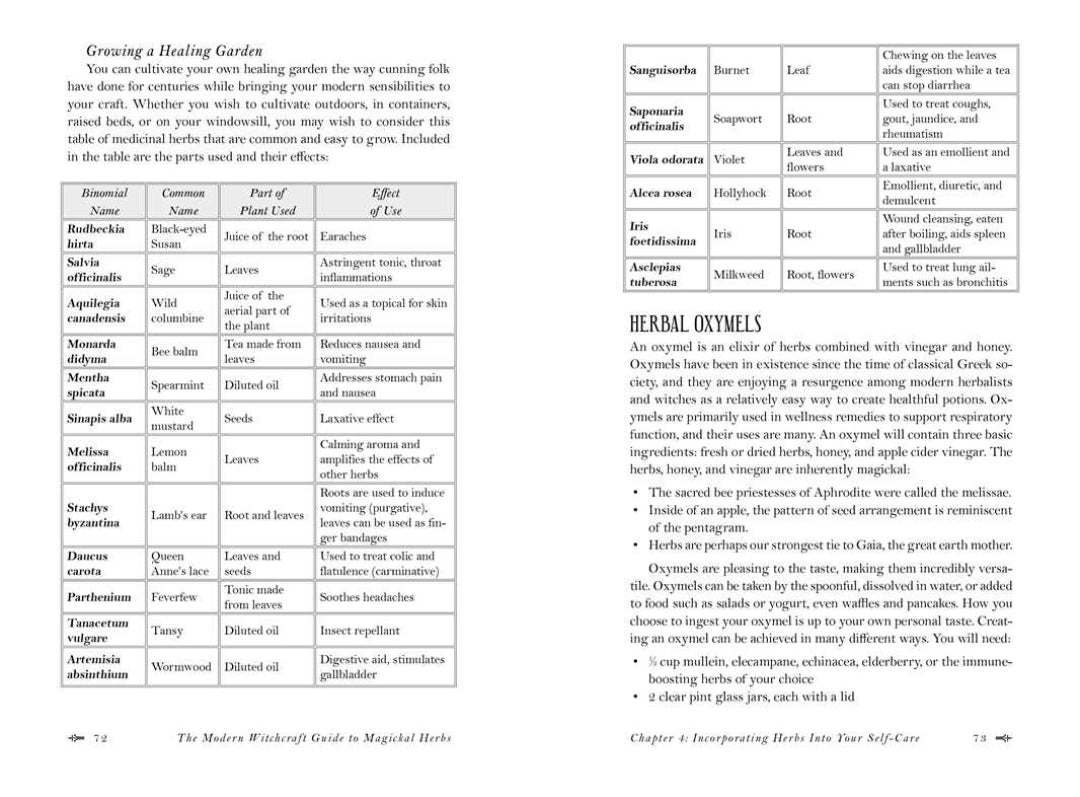 Modern Witchcraft Guide To Magickal Herbs