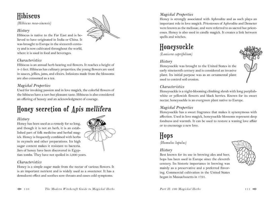 Modern Witchcraft Guide To Magickal Herbs