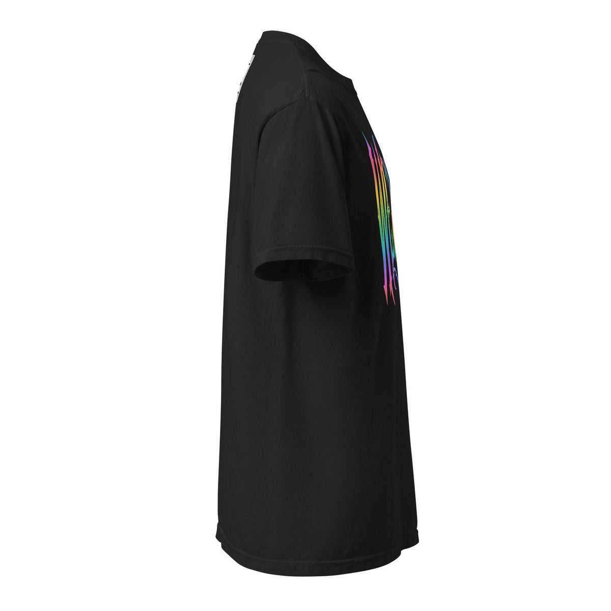 Weirdo Pride Premium Heavyweight T-Shirt (Unisex)